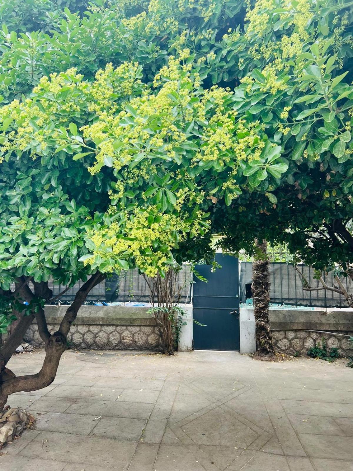 Maison 23 Coursan Екстериор снимка